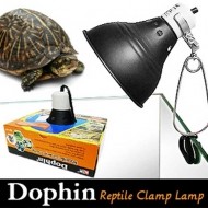 도핀 파충류 거북이용 클램프 소켓 [램프별도구매]